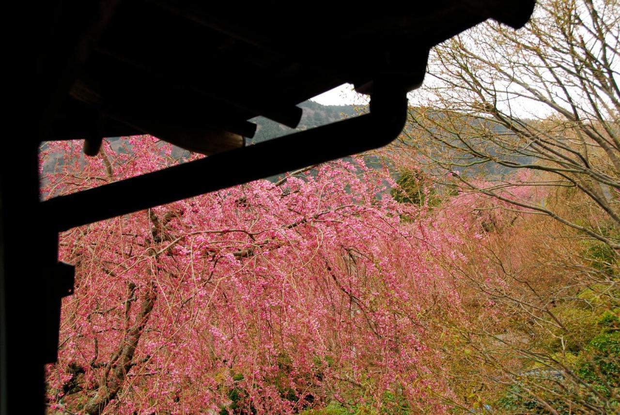 Hakone Kowakien Mikawaya Ryokan Exteriör bild